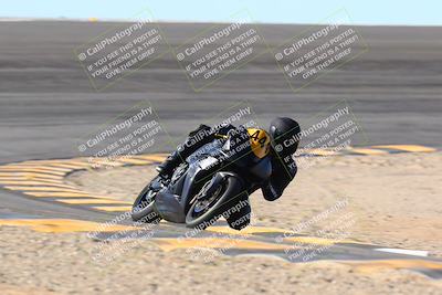 media/Jan-13-2024-SoCal Trackdays (Sat) [[9c032fe5aa]]/Bowl Exit Set 1 (1125am)/